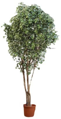 kunstpflanzen-Discount.com XXL Ficus Kunstbaum 400cm mit 10032 grün-weiße Blätter und Naturstämme - 4m großer künstlicher Ficusbaum mit Echtholz Stämmen