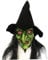 AEIOFU Halloween Hexenmasken für Erwachsene, alte Hexenmaske mit Langen Haaren und Hood Halloween Latex Clown Maske für Erwachsene für Halloween -Dekor