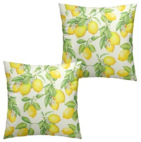 Wnoesat Set di 2 federe per cuscini con limone, 45 x 45 cm, con frutta estiva gialla e limone con foglia verde, federe decorative per esterni, quadrate, per decorare casa colonica e soggiorno, 24220-2