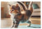 1000 Pieces Jigsaw Puzzle Yoga Kitten Puzzle Game Home Wall Artwork for Adults Teens