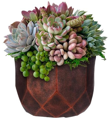 IDEALIST 7.5 Inch Faceted Bronze Reinforced Stone Bowl Planter | Bonsai Pot | Succulent Plant Pot D19 H17 cm, 4 litres