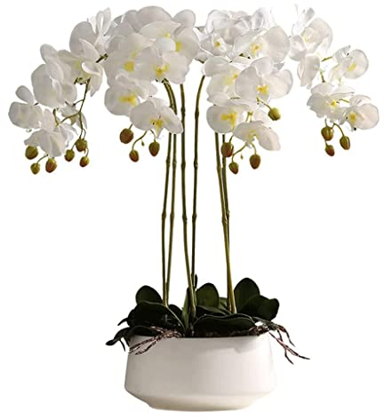 Kunstblume Kunststoff Künstliche Phalaenopsis Blumen Tischdeko Kunstblumen Deko 3/6/10 Kopf Orchideen Künstliche Bonsai Schöne Form