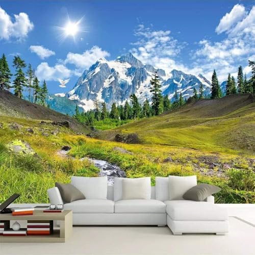 XLMING Ciel Bleu Nuages Blancs Soleil Montagnes Enneigées Arbres Hauts Plateaux 3D Papier Peint Décoratif Bureau Salle à Manger Salon Chambre Coucher Canapé TV Mur-400cm×280cm