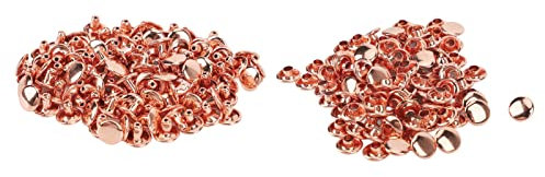 Baxnore Kit rivetti in pelle professionale, 100 set di borchie placcate in oro rosa con berretti per la creazione di cintura Giacca con decorazioni in pelle (Fe8x6S-010)