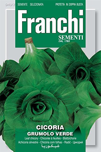 Franchi Seeds of Italy - Chicory - Grumolo Verde - Seeds