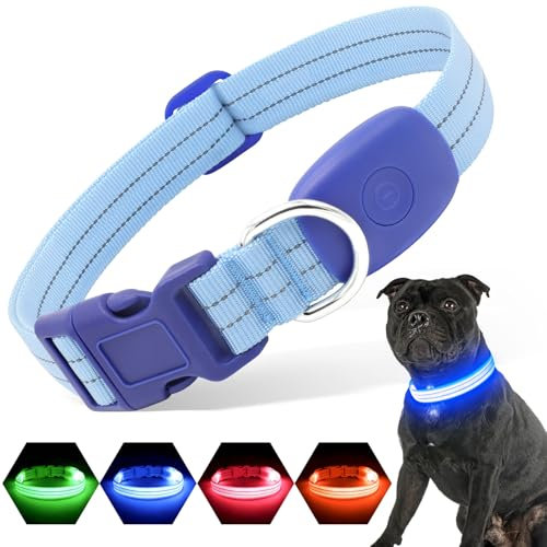 PZRLit Leuchthalsband Hund Aufladbar, Hundehalsband Leuchtend für Klein Mittel große Hunde, Einstellbar LED Halsband für Hunde für Nacht Sicherheit (Blau, Mittel)