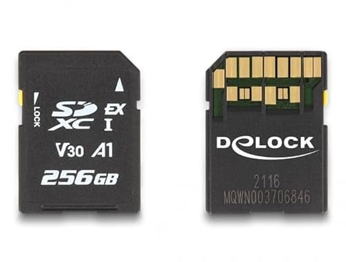 DELOCK TARJETA DE Speicher SD Express 256 GB