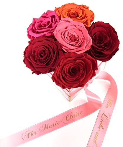 ROSEMARIE SCHULZ Heidelberg Rosenbox personalisiert 6 Infinity Rosen bunt - 15x12cm haltbar bis zu 3 Jahre - echte Bunte Rosen bunter Blumenstrauß versenden (Perso Eckig Rosa, Bunt)
