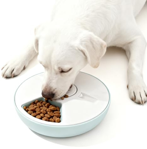 Comedero automático para gatos, comida húmeda para gatos, con temporizador digital y 6 cuencos, dispensador de comida para perros, 6 comidas, funciona con pilas para gatos, perros pequeños (blanco)
