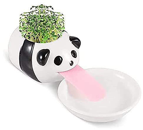 WLICWEI Jardinera de cerámica con riego automático, Bonita Maceta con Forma de Lengua de Animal, Mini macetas suculentas, Maceta Decorativa de Escritorio para Bonsai, Maceta de Cactus para Regalo de