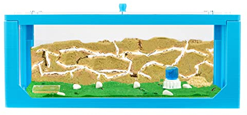 AntHouse - Natürliche Ameisenfarm aus Sand | 3D Blau Big Starter Set 30x15x10 cm | Inklusive Ameisenkolonie