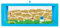 AntHouse - Natürliche Ameisenfarm aus Sand | 3D Blau Big Starter Set 30x15x10 cm | Inklusive Ameisenkolonie