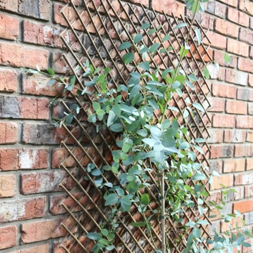 Samuel ALEXANDER Expanding Willow Panel 180cm x 60cm Garden Flower Rose Trellis Support