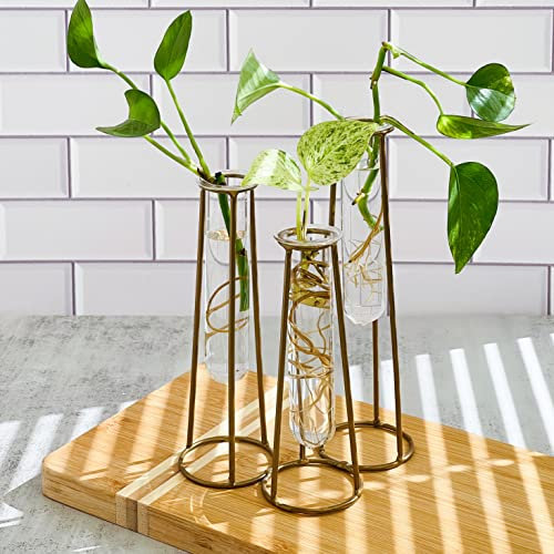Kate Aspen Propagation Station Terrariums with Gold Metal Stand - 3 Glass Test Tube Planters for Indoor Plant, Air Plants, Plant Clippings, Cut Flowers, Herbs, Succulents | Home Decor Table Decoration