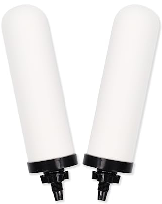 YKMGON 2 Stück 17,8 cm Keramik-Wasserfilterkerze, 17,8 cm Wasserfilter Ersatzfilter mit Aktivkohle für Arbeitsplatte, Schwerkraft-Wasserfiltersystem, Wasserkühler-Filtrationssysteme.
