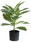 Nordischer Gummibaum, künstliche Pflanze für Zuhause, Büro, Dekoration, 56 cm, künstliche Bonsai-Grünbäume