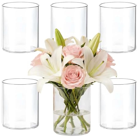 Glasvase Set, 6 Zylindrische Transparente Vasen für Hochzeit, Tischdekoration, Kerzenhalter, Blumenarrangements (10 cm, 6 PCS)