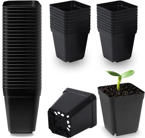 Voarge Lot de 50 pots de fleurs carrés en plastique noir de 5,5 cm pour plantes succulentes, semis, boutures, repiquage