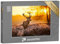 puzzleYOU: Puzzle 500 Teile „Rothirsch in der Morgensonne“ – aus der Puzzle-Kollektion Tiere, Natur, Hirsche, Tiere in Wald & Gebirge