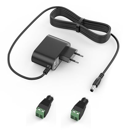 12V 2A Netzteil mit 2 LED-Licht, Adaptertransformator 24 W Wandladegerät für LED-Lichtstreifen, Überwachungskamera, 5,5 x 2,5 mm Stecker(12V2A)