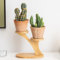 Lxoraziy Mini 2 Niveles Soporte para Plantas de Bambú, Estante de Exhibición de Plantas, Soporte para Macetas Suculentas de Mesa, para Decoración de Alféizar de Ventana de Escritorio en Casa