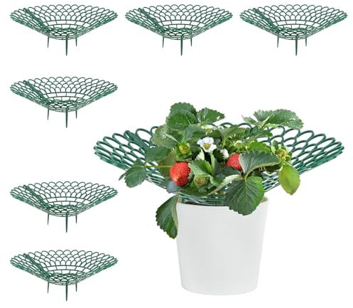 Raheem Confezione da 6 supporti per fragole Supporto per la coltivazione di fragole Supporto per la coltivazione di frutta Supporto circolare per fragole Supporto per fragole Supporto per piante di