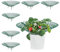 Raheem Confezione da 6 supporti per fragole Supporto per la coltivazione di fragole Supporto per la coltivazione di frutta Supporto circolare per fragole Supporto per fragole Supporto per piante di