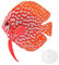 Jadeshay Faux Poisson Ornement décoration d'aquarium Tropical Faux Poisson drôle Lumineux Poisson(Rouge)