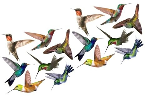 Uonlytech 14stücke Teiliges Lebensechter Hummingbird Wandsticker Für Fenster Und Wände Selbstklebende Deko Für Wohnzimmer Schlafzimmer Und Restaurants Schutz Gegen Vogelschlag