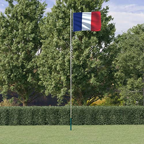 INLIFE 3147093 Drapeau français avec mât 6,23 m en aluminium 3,4 kg