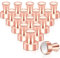 Starke Magnete, Neodym Magnete Extra Stark 16 Stück Mini Magnet für Kühlschrank, Magnettafel, Kegelmagnete, Stecktafel, Pinnwand Kleine Magnet für Whiteboard Büro Kühlschrankmagnete, Roségold