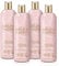 Baylis & Harding Elements Pink Blossom & Lotus Flower Luxury Body Wash, 500 ml (Pack of 4) - Vegan Friendly