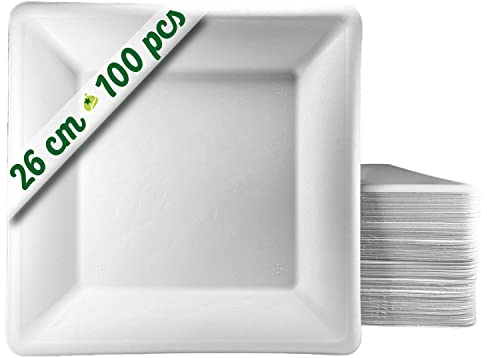 GoBeTree 100 Assiettes Jetables carrées 26 cm en Canne à Sucre Blanche, assiettes en papier jetables extra durables, Pour Camping, Pique-niques, Fêtes, Barbecues, Anniversaires