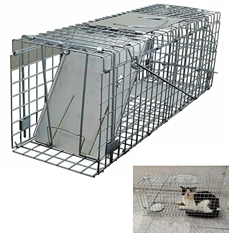 Lebendfalle, Marderfalle, Katzefalle für Katzenbabys, 61cm x 19cm x 21cm, Galvanized Metal, Leicht zu Reinigen, Einfach Einzurichten, Sicher für Haustiere