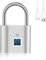 Fingerabdruck Schloss: WIYETY Vorhängeschoss Finlgerabdruck, Lock Fingerabdruck, Kleines Schloss mit Fingerabdruck, Fingerabdruck-Vorhängeschloss für Fitnessstudio-Schließfächer (Silber)