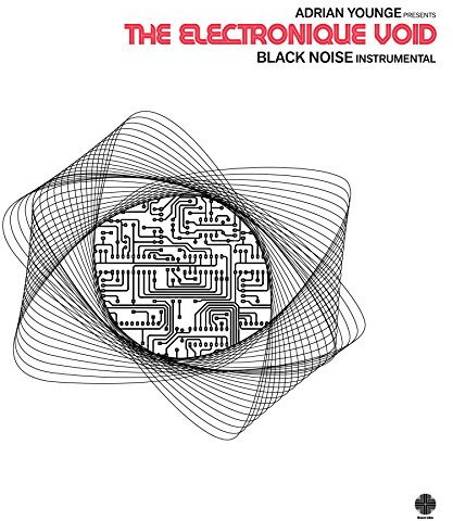 The Electronique Void: Black Noise Instrumentalls