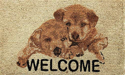 Coco&Coir Door Mat | Non-Slip | Thick Coir | Premium Quality | Rubber Backed | Eco-Friendly | Indoor | Outdoor | Heavy Duty | Pet series | Entrance Door Mat | 45 x 75 cm (Puppy Welcome)