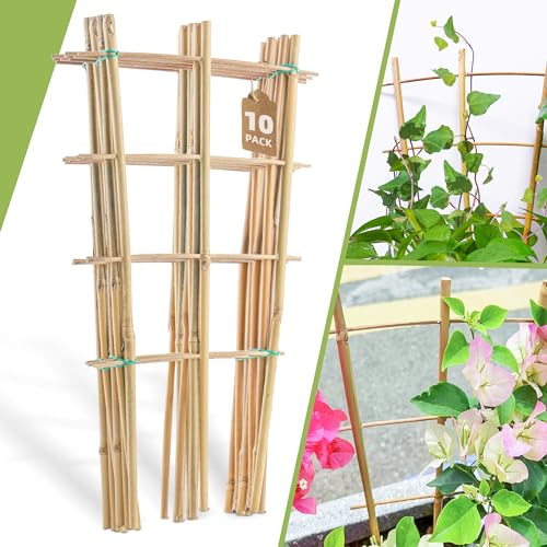 10 Stück 40,6 cm Bambus-Spalier für Kletterpflanzen, natürliche Gartenleiter, Fächerform, Pflanzenstütze, Rankgitter für Topfpflanzen, Dekoration in der Tür