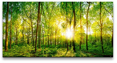 Paul Sinus Leinwandbild 120x60cm Grüner Wald Sonnenstrahlen Natur Schön Bäume Harmonie