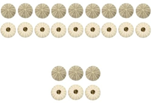 Milisten 24pcs Creative Plant Pot Natural Shell Design for Home Decoration and Aquarium Unique Air Plant Planter for Coastal Themed Decor