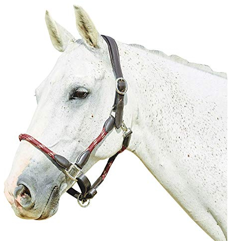 Kincade Leather Rope Headcollar, Burgundy/Brown, Cob