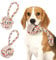 Nobleza Giochi per Cani indistruttibile 2 Pack, Giocattolo per Cani in Corda di Cotone Naturale al 100% - Gioco interattivo di tiro alla Fune per Cuccioli - Giocattoli da Masticare per Cani - 20cm