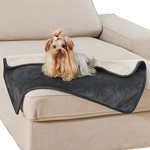 Lesure wasserdichte Hundedecke kleine Hunde - 80x60cm Outdoor Hundedecke waschbar, Hundedecke Sofaschutz aus Sherpa Fleece, Katzendecke flauschig und weich, Dunkelgrau