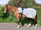 nuLOOM Rhinegold Teppich, Bestickt, Pony-Grau