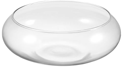 Yardwe Cuenco de pescado transparente Maceta redonda Maceta Suculenta Cuenco Mini Maceta Hidropónica Contenedor de Plantas para Bonsai Cactus Suculentas