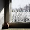 ChicSkin Fensterfolie reines weißes Gras, Schilf sichtschutzfolie Fenster, Wiederverwendbar fensterfolie Blickdicht, Geeignet für Wohnzimmer, Schlafzimmer und Badezimmer fensterdekoration