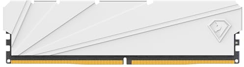 Netac DDR4 8GB RAM 2666MHz Computer Desktop Memory DRAM Gaming Memory 8GB White Heat Vest, Desktop Memory White