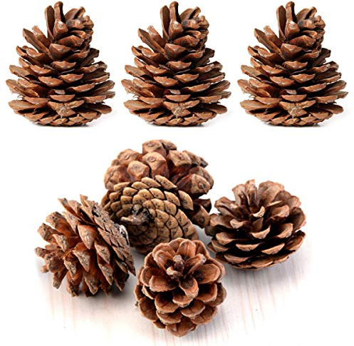 Bulk Package of Natural Pinecones-24 Pack