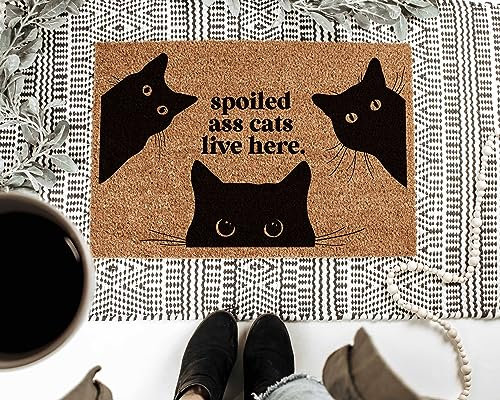 Generic Funny Cat Doormat, 36x24 Inch, Black, Perfect for Entryway/Porch, Non-Slip, Machine Washable