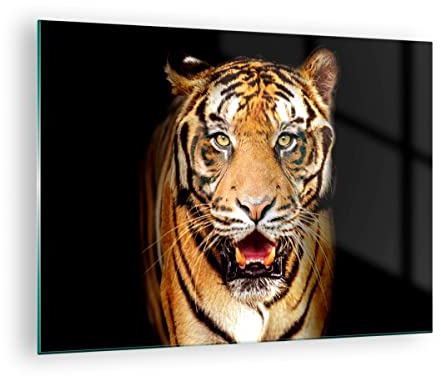 ARTTOR Bilder auf Glas tiger tier Glasbild 70x50cm Wandbilder Dekoration Wohnzimmer Schlafzimmer Küche Deko Klein Wanddeko Bild im Glas Wand Kunstdruck Art Modern Wall Decor Glasdruck GAA70x50-4103